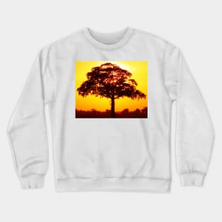 tree under the light of the sun Crewneck Sweatshirt